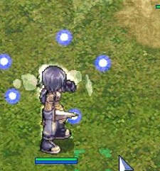 ro556.gif