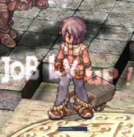 19.gif