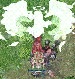 21.gif