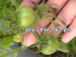 ミニトマト
