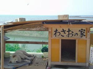 20100816153532.jpg