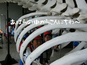 DSCF1789.JPG