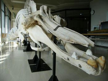 DSCF1803.JPG