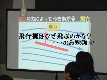 DSCN6067.jpg