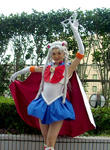 3411185e.jpg