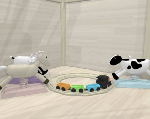 3d1b4723.gif