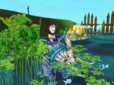 pet-mizu1.jpg