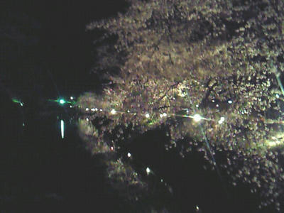 201104212041000.jpg