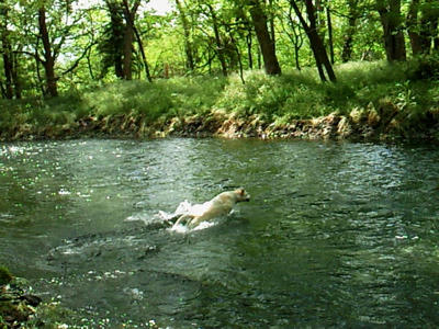 201105211407000.jpg