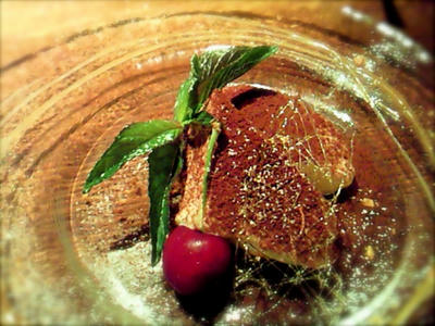201106172056001.jpg