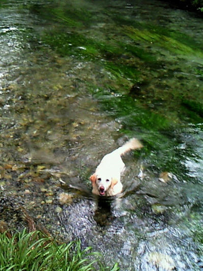 201107031632001.jpg