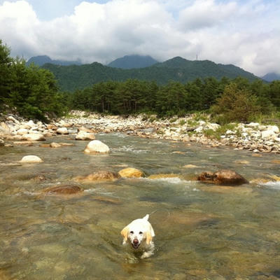 20110724.jpg
