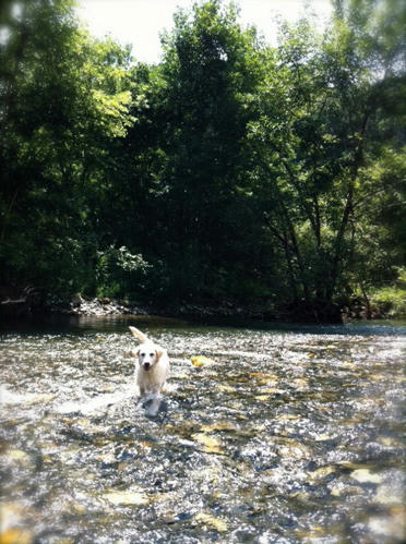 201108073.jpg