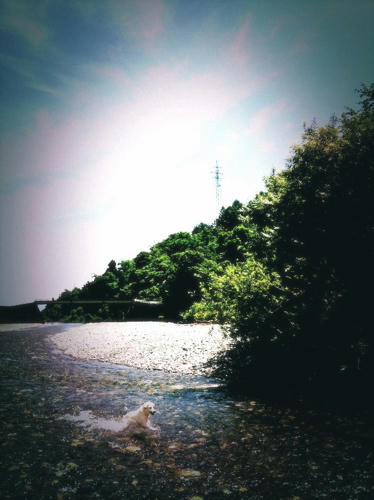 201108071.jpg