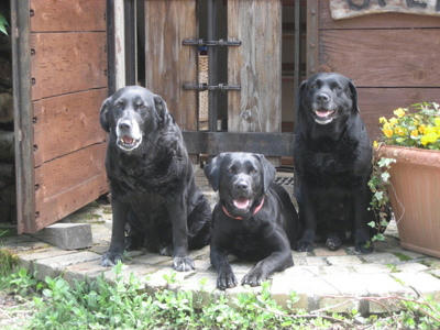 middle_1252251172.jpg