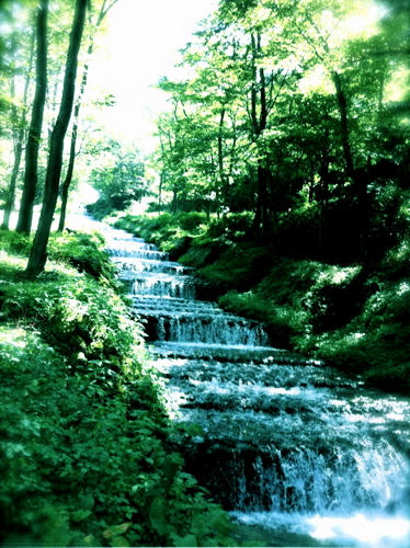 201109101.jpg