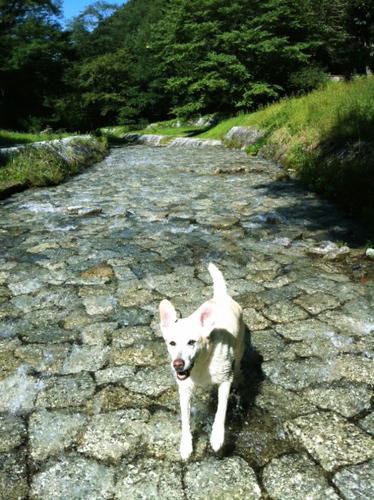 201109103.jpg