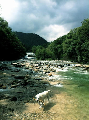 201109111.jpg