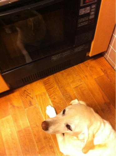 201109254.jpg