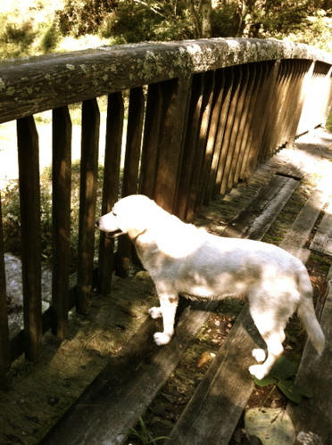 201109253.jpg
