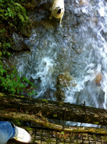 20110924.jpg