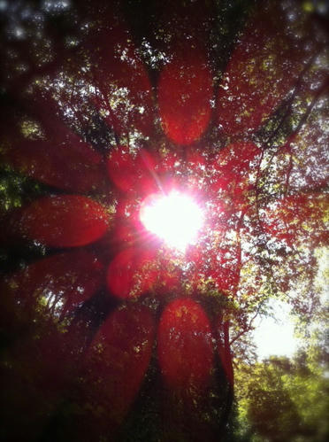 201109252.jpg