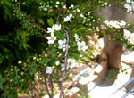 P1000936_m.jpg
