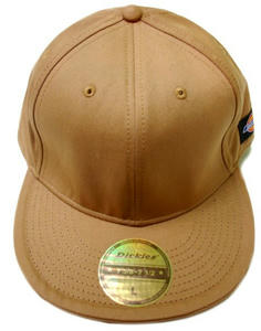 Dickies BBCAP2