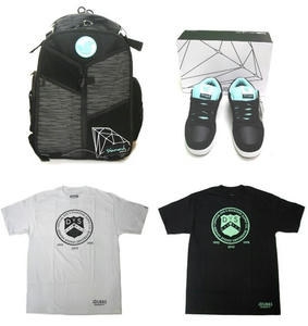 Diamond Supply Co.×DVS