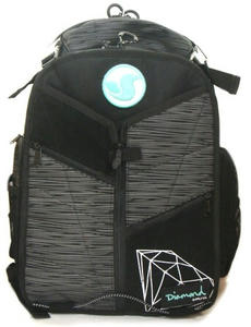 DVS BAG