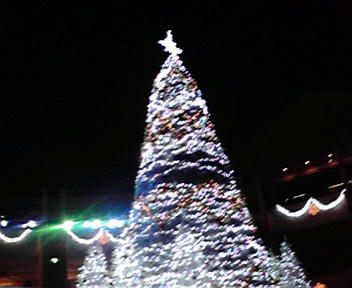 2008110119010001.jpg