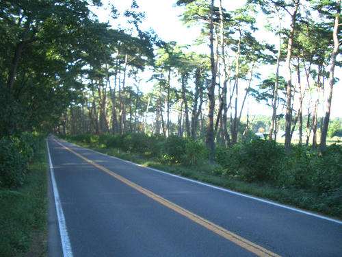 pic01.jpg