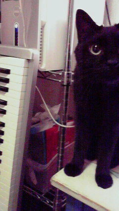 2010080922300000.jpg