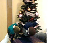 2009-1224_01.jpeg