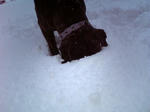 2008_02170004.jpg