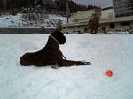 2008_02170006.jpg
