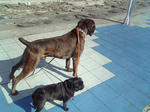 2008_02290004.JPG