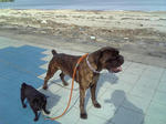 2008_02290005.JPG