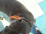 2008_02290006.JPG