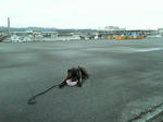 2008_03050002.JPG