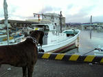 2008_03050004.JPG