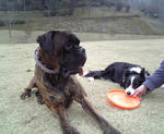 2008_03130002.JPG