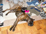 2008_03140001.JPG