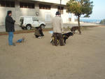 20080315_443468.jpg