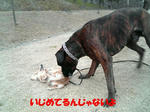 2008_03230001.JPG