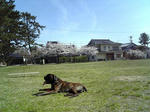2008_04080007.JPG