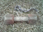 2008_04150006.JPG