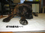 2008_05090038.jpg
