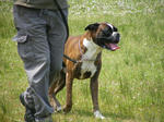 2008_06080015.JPG
