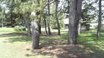 2008_07010005.JPG